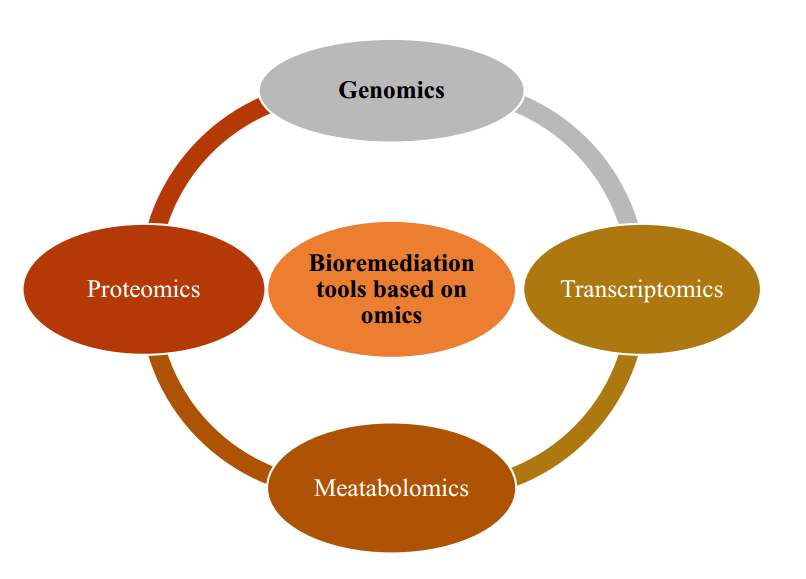 图2.基于组学的生物修复工具
