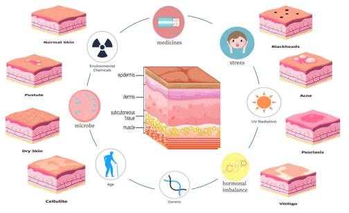 The_Role_of_Probiotics_01.png