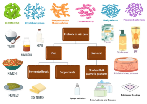 The_Role_of_Probiotics_02.png