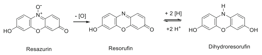 图3. 刃天青是一种常用于厌氧培养基的氧化还原指示剂,它会发生不可逆还原,由蓝色变为粉色(试卤灵);而试卤灵可进一步发生可逆还原,变为无色形式(二氢试卤灵)。