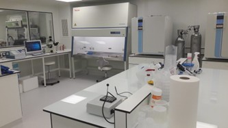 AAV_Production_in_HEK293T_Cells02.jpg