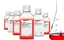 AAV_Production_in_HEK293T_Cells03.jpg