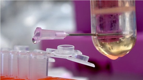 AAV_Purification_by_Iodixanol_Gradient_Ultracentrifugation01.jpg