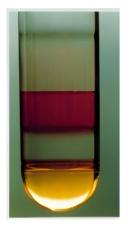 AAV_Purification_by_Iodixanol_Gradient_Ultracentrifugation02.jpg