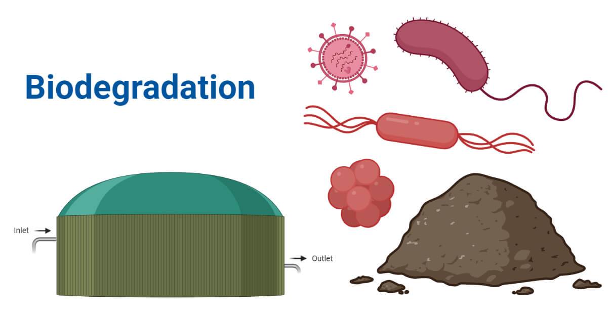 知识讲堂 | 探索奇妙微生物：自然环境中的生态医生