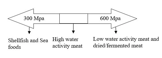 水分活度和食品类型