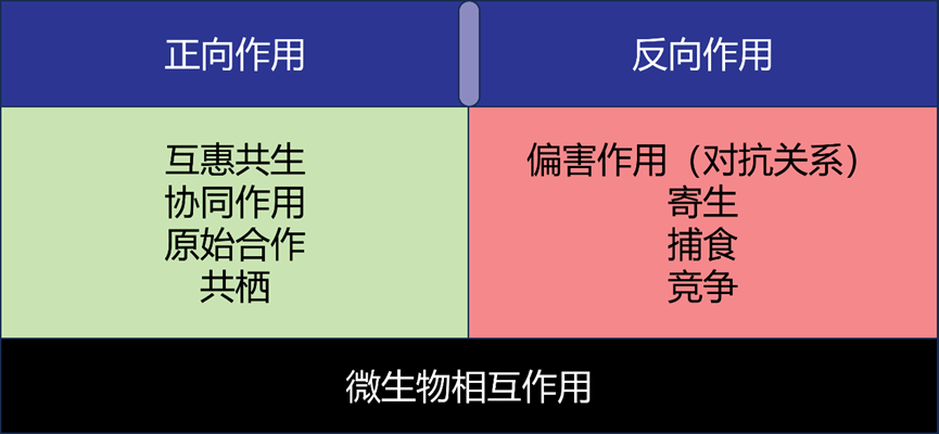 走丢啦