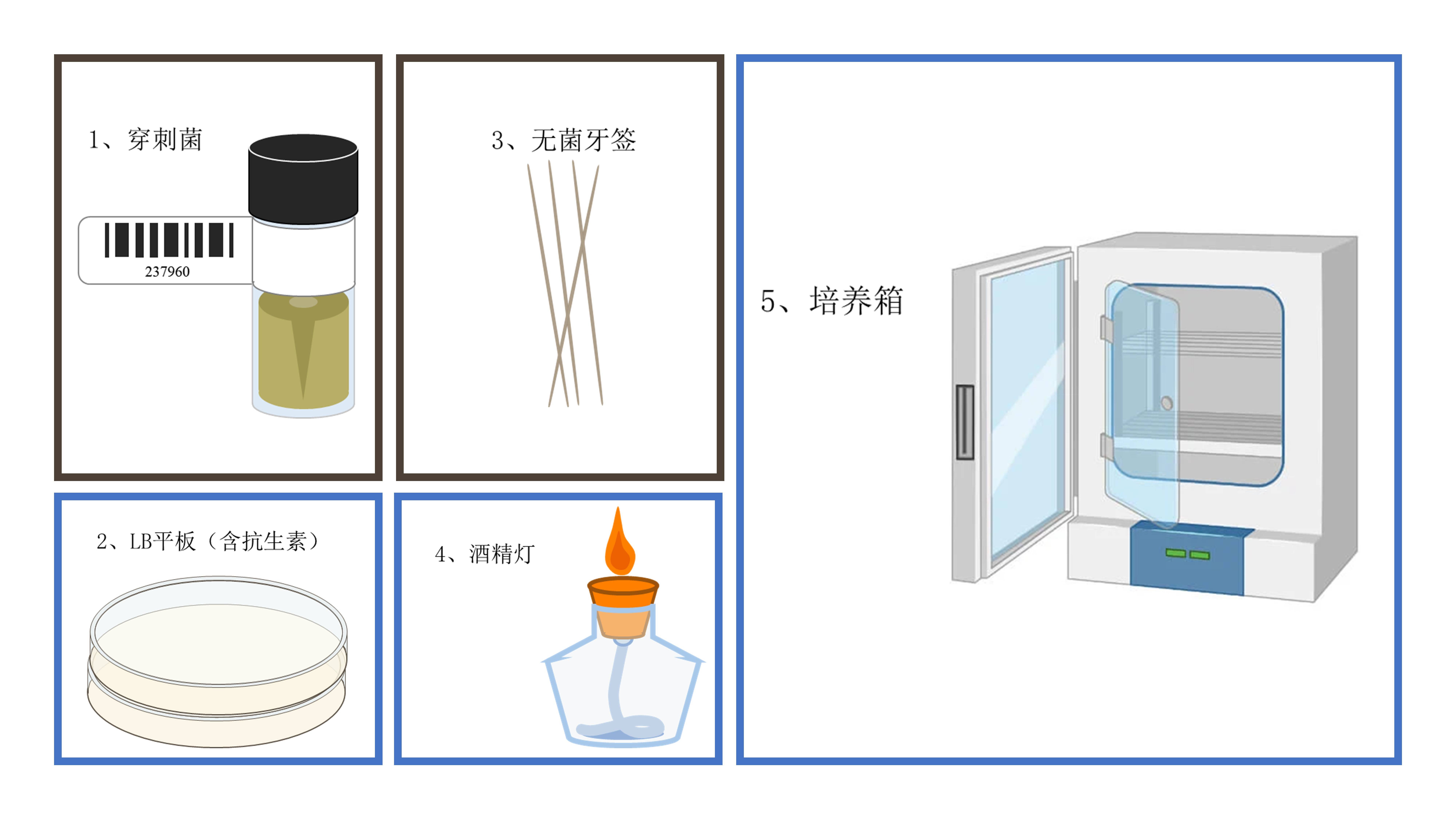 穿刺菌划线材料准备