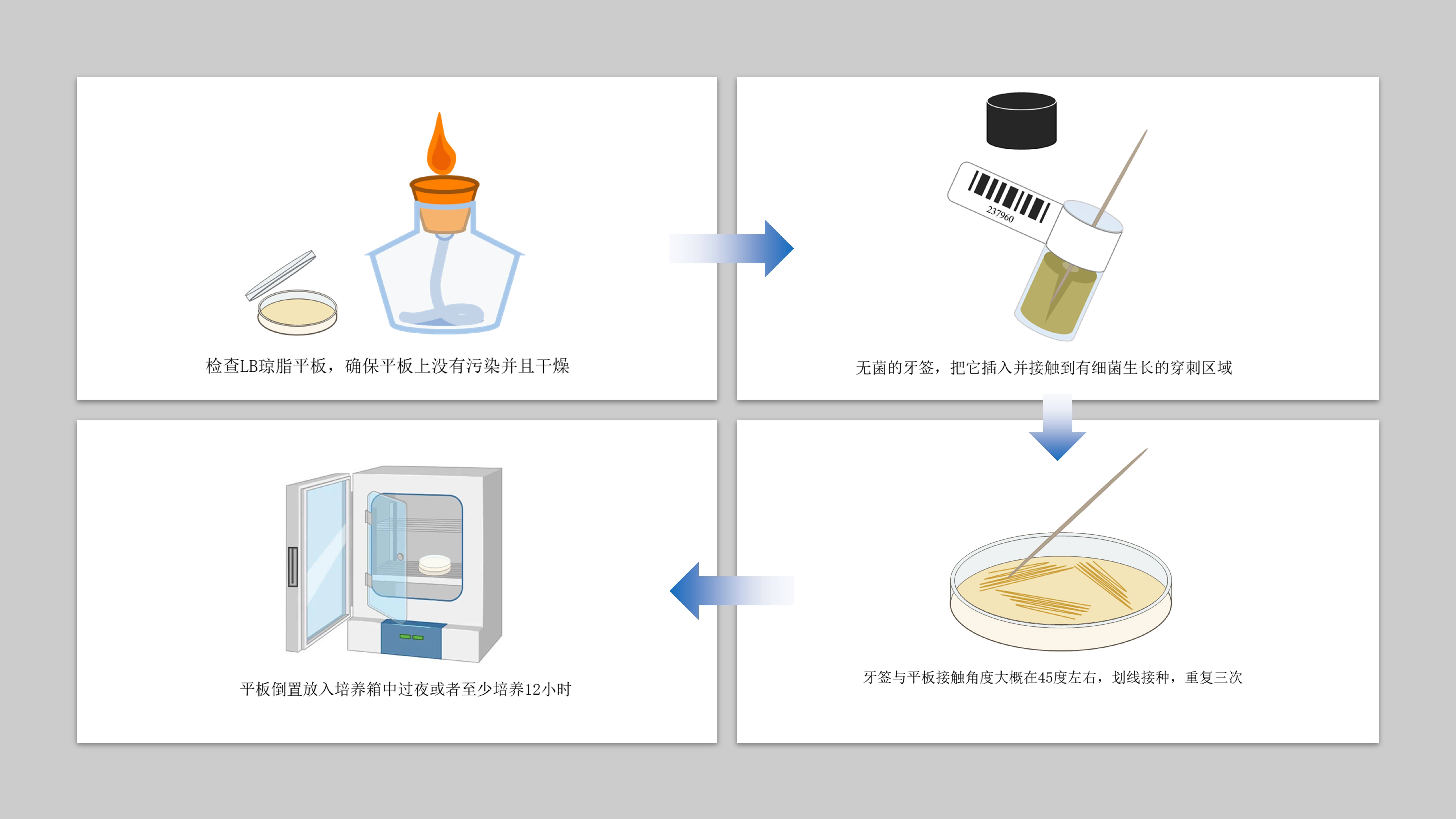 穿刺菌培养方法示意