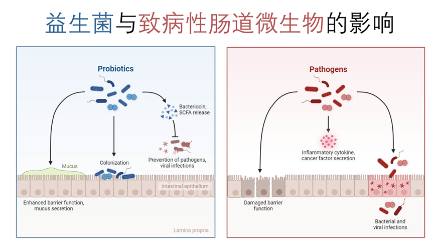 走丢啦