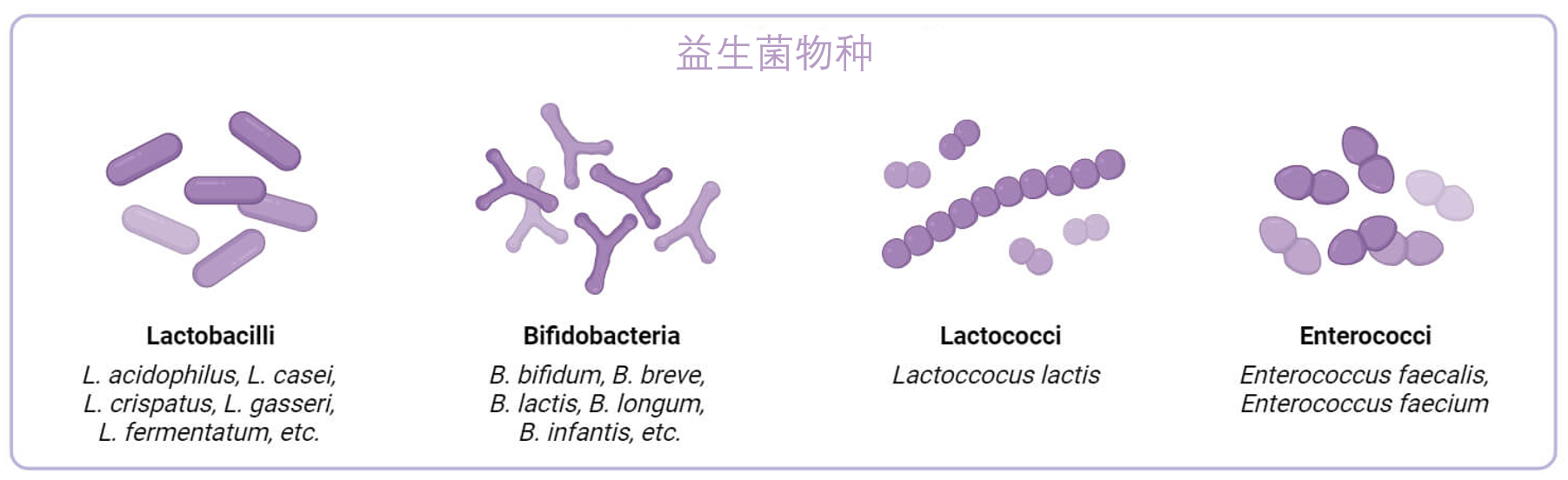 益生菌物种