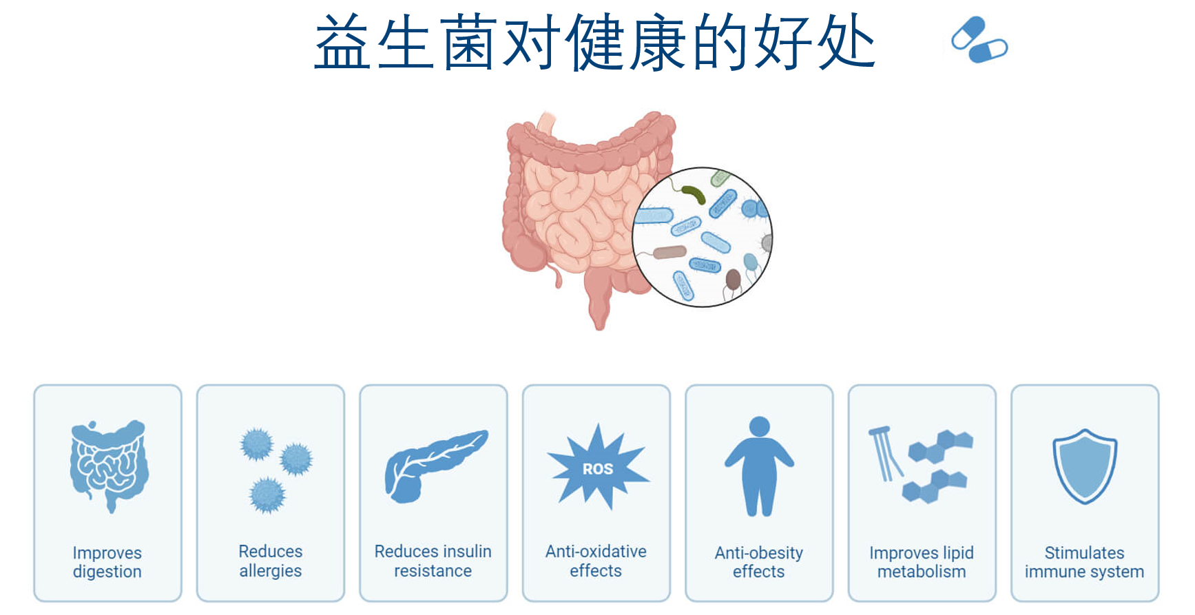 益生菌对健康的好处