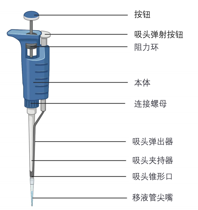 移液枪的部件