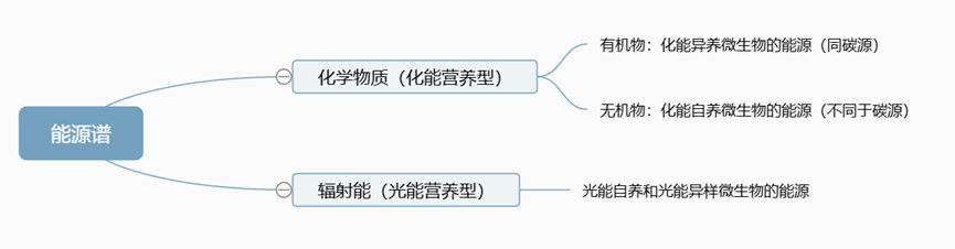 微生物的能源谱