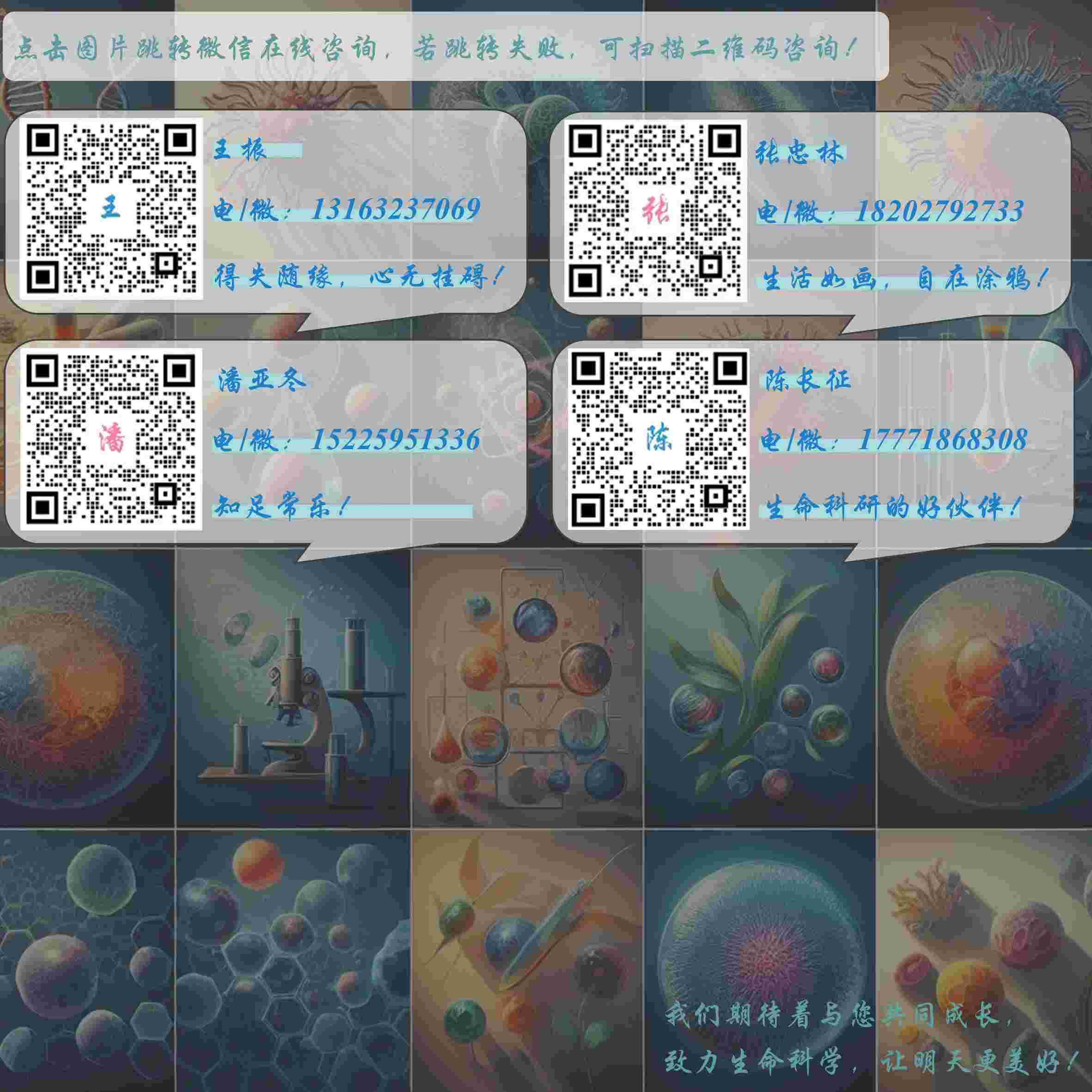 联系方式