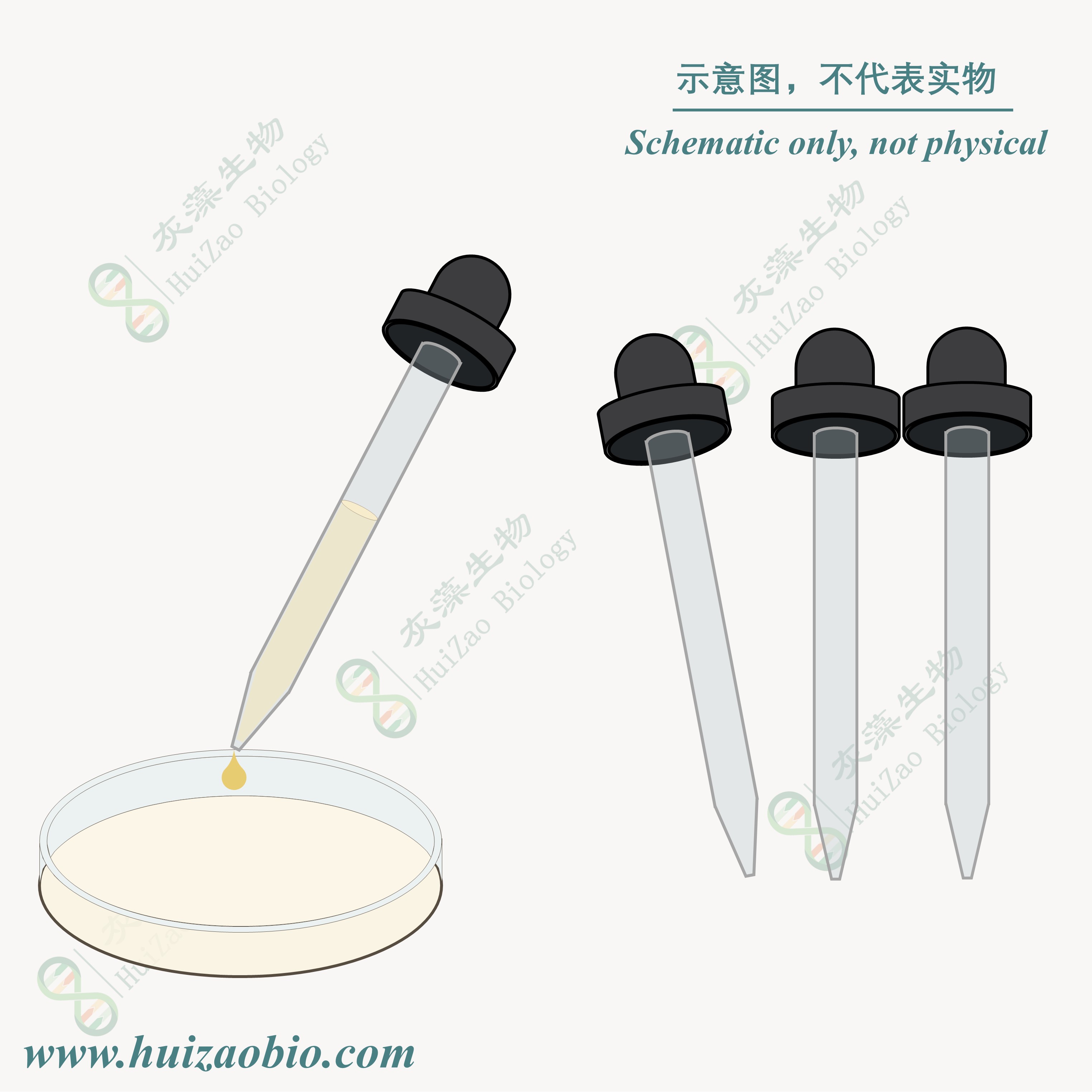 一次性接种环
