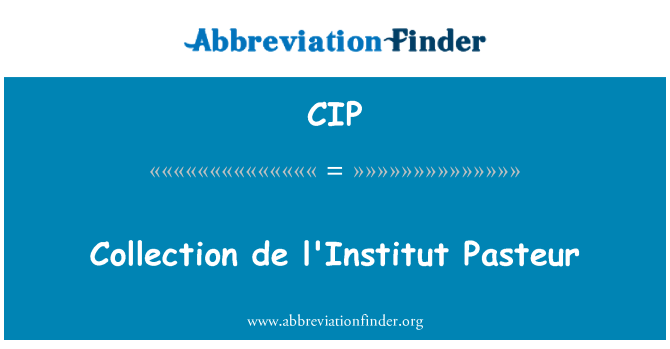CIP