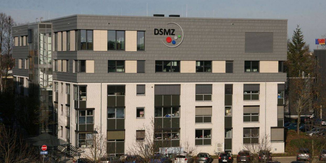 DSMZ