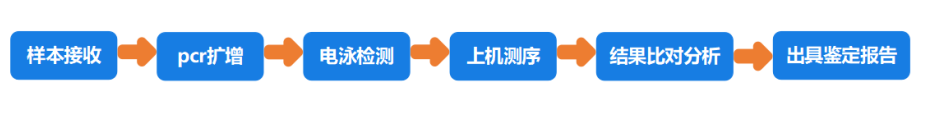 实验流程