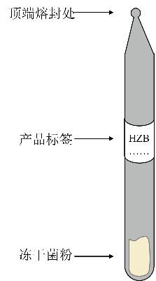 冻干管