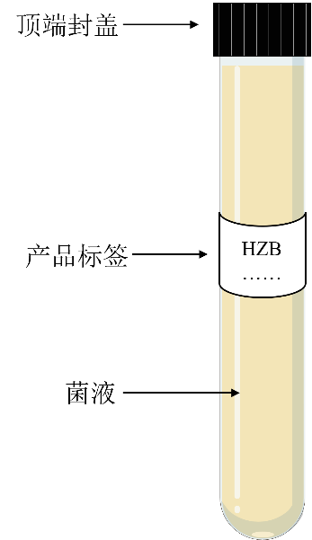菌株菌液