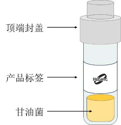 甘油菌