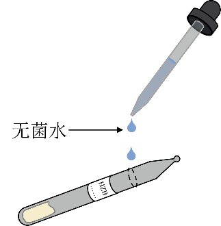 冻干粉打管说明